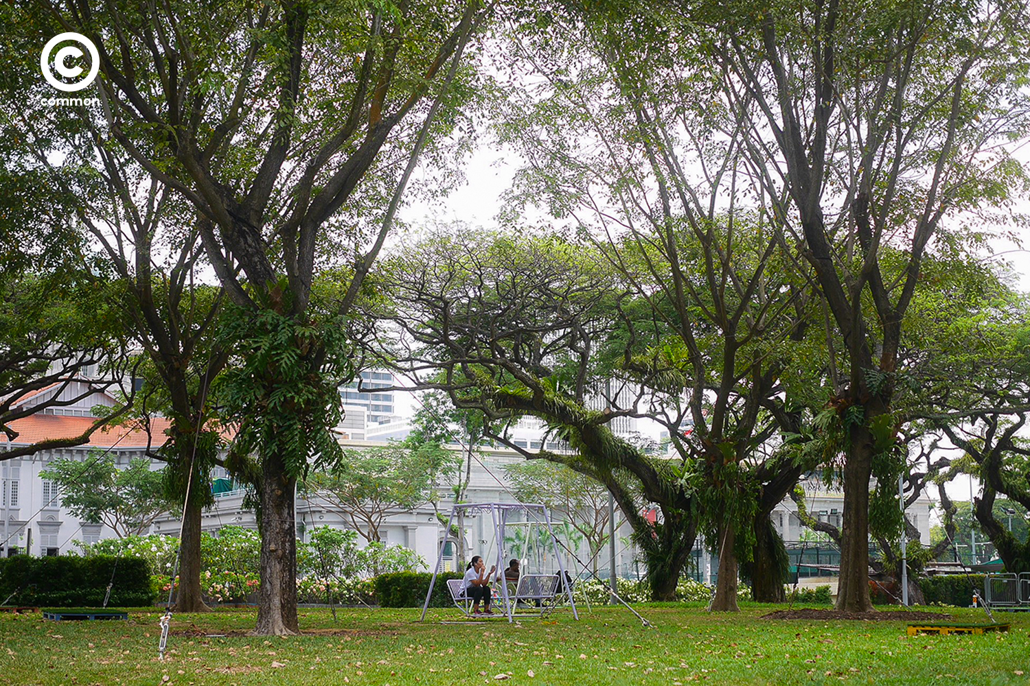 สิงคโปร์ พื้นที่สีเขียว