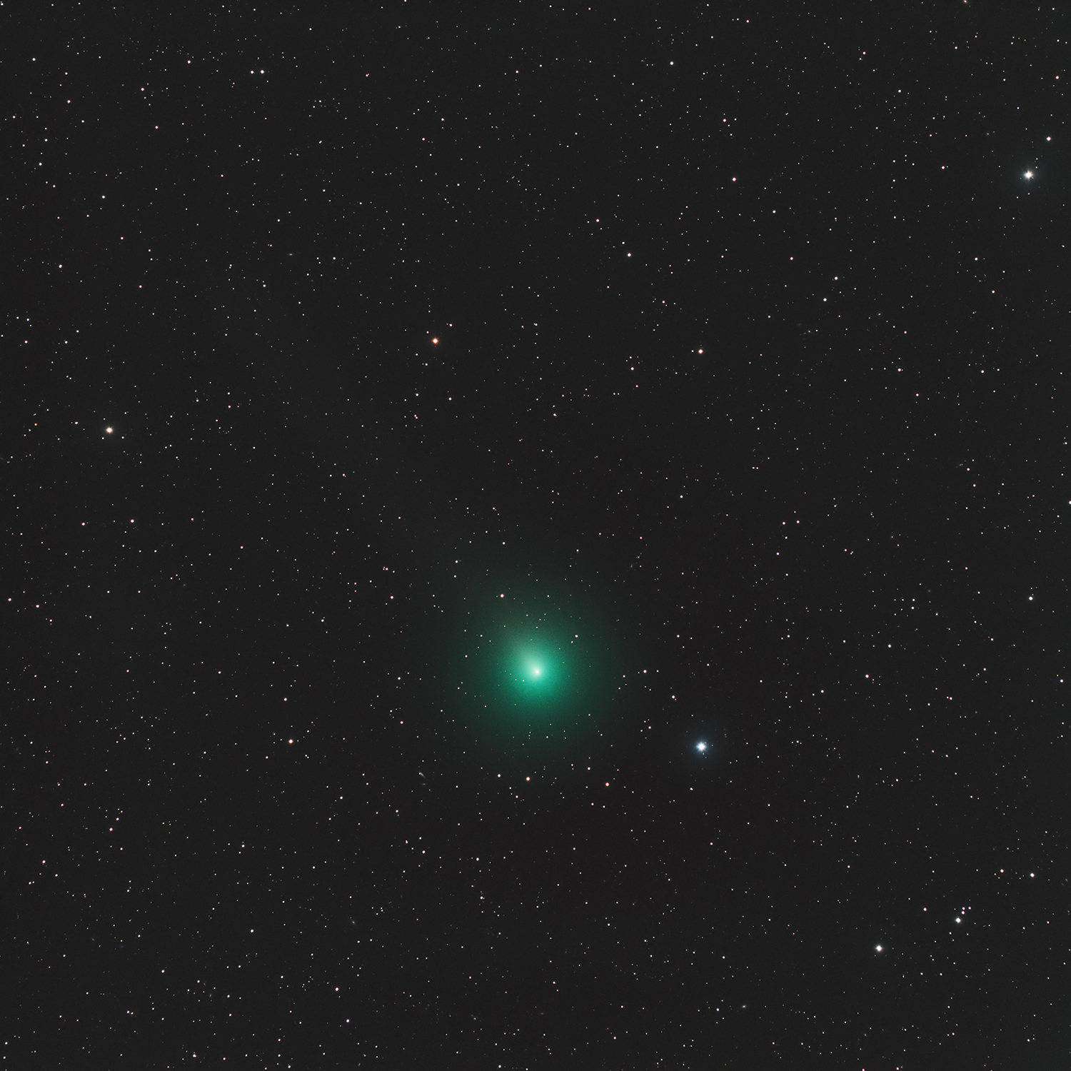 ดาวหาง 46P/Wirtanen ถ่ายเมื่อวันที่ 5 ธันวาคม พ.ศ.2561 (Photo: ตระกูลจิตร จิตตไสยะพันธ์)