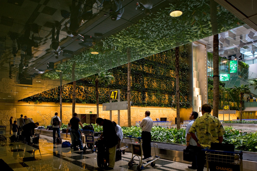 ภูมิสถาปัตยกรรม สนามบินสิงคโปร์