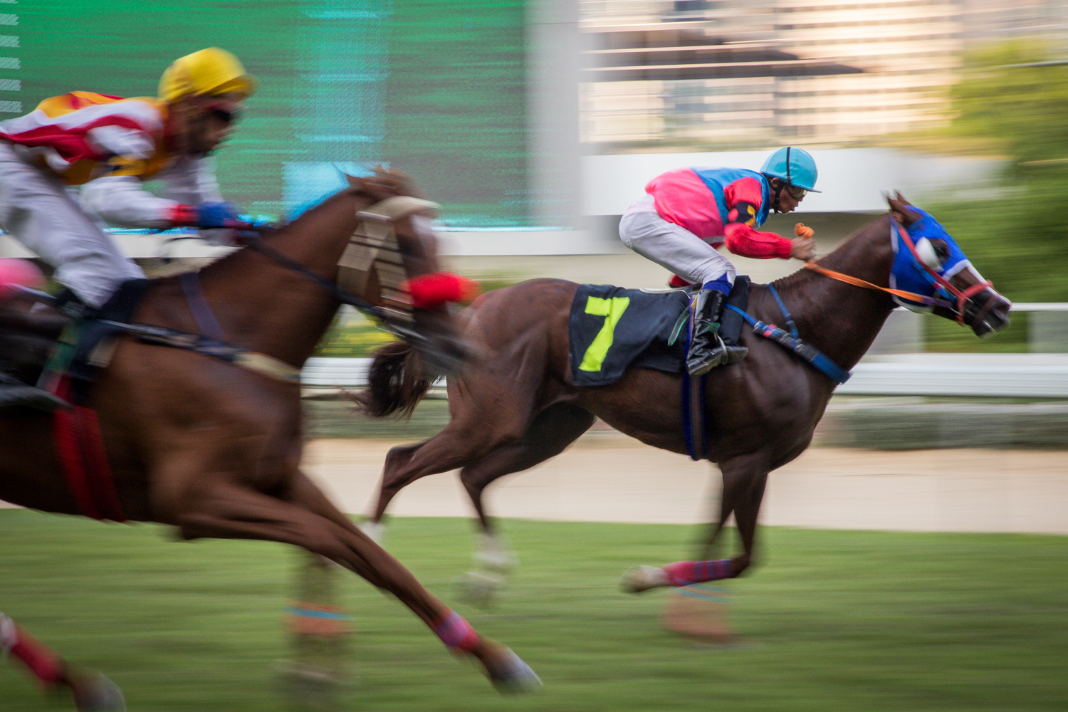 #สนามม้าราชกรีฑาสโมสร #สนามม้าฝรั่ง #Photoessay #Culture #แข่งม้า #Horseracing