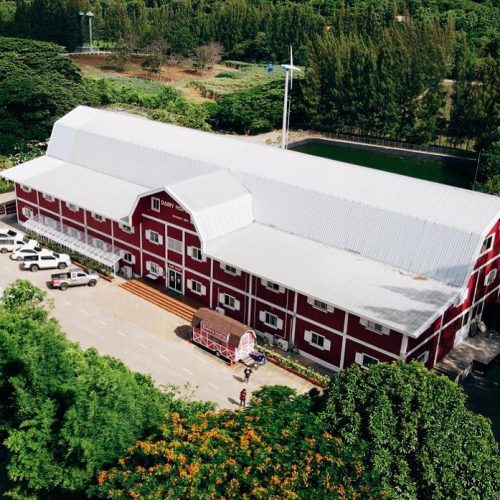 Dairy Home ฟาร์มออร์แกนิกเจ้าแรกของไทย ที่อยากให้คนได้ดื่มนมจากแม่วัว