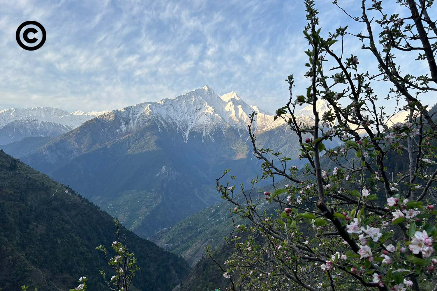 kinnaur