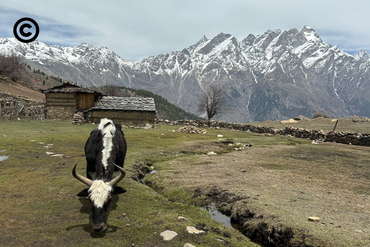 kinnaur