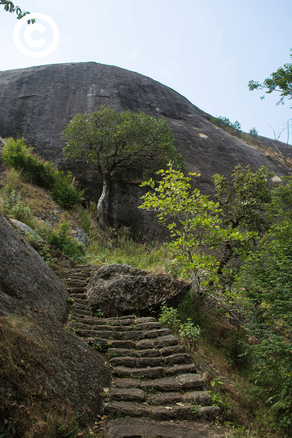 Meghalaya