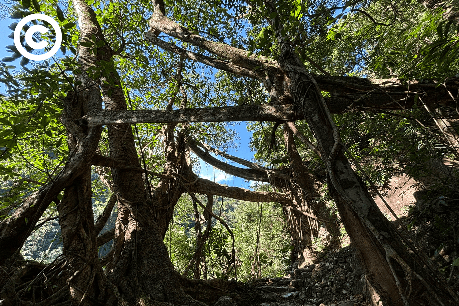 Meghalaya