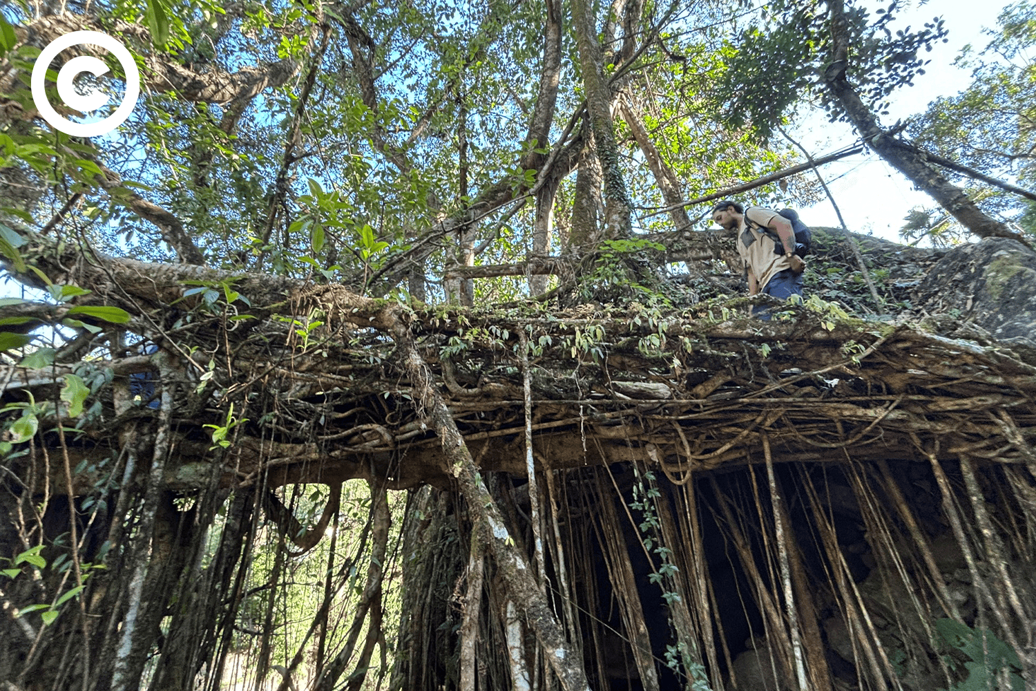 Meghalaya