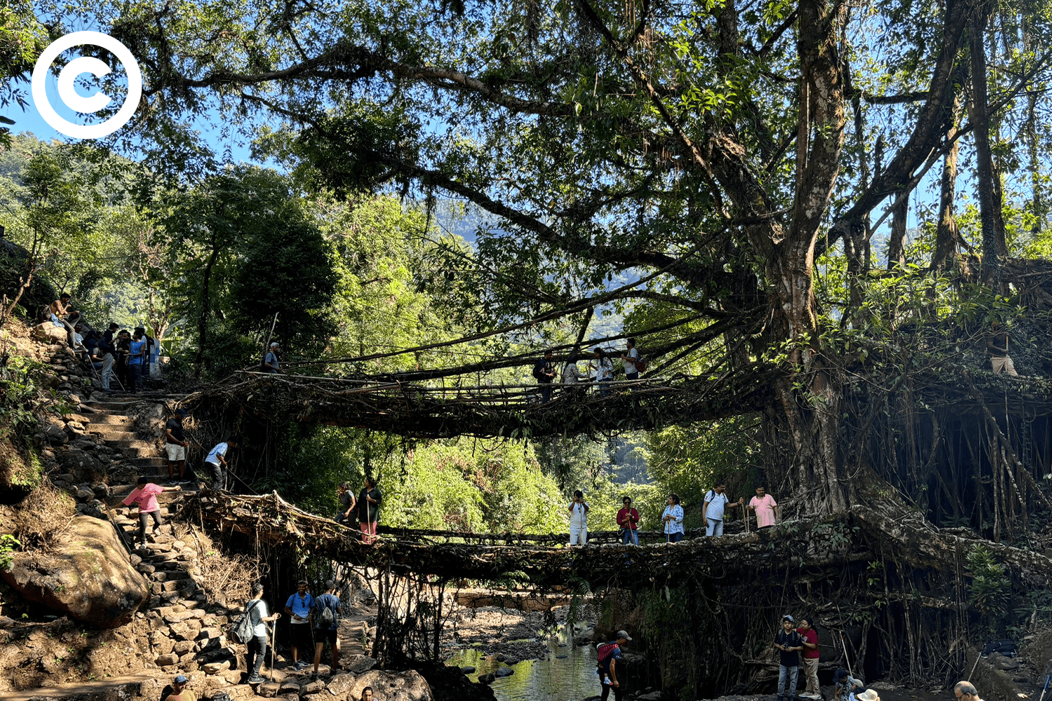 Meghalaya