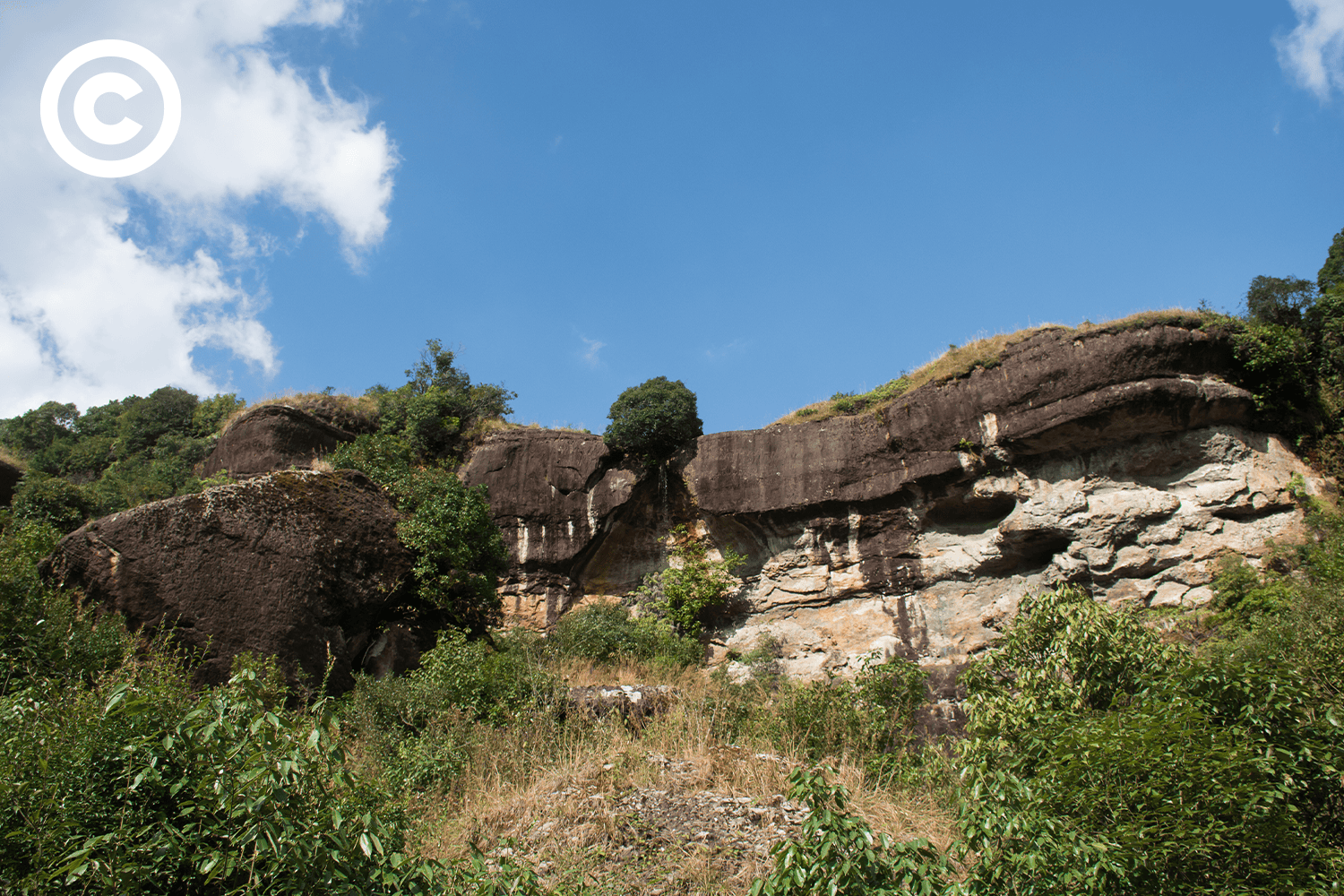 Meghalaya