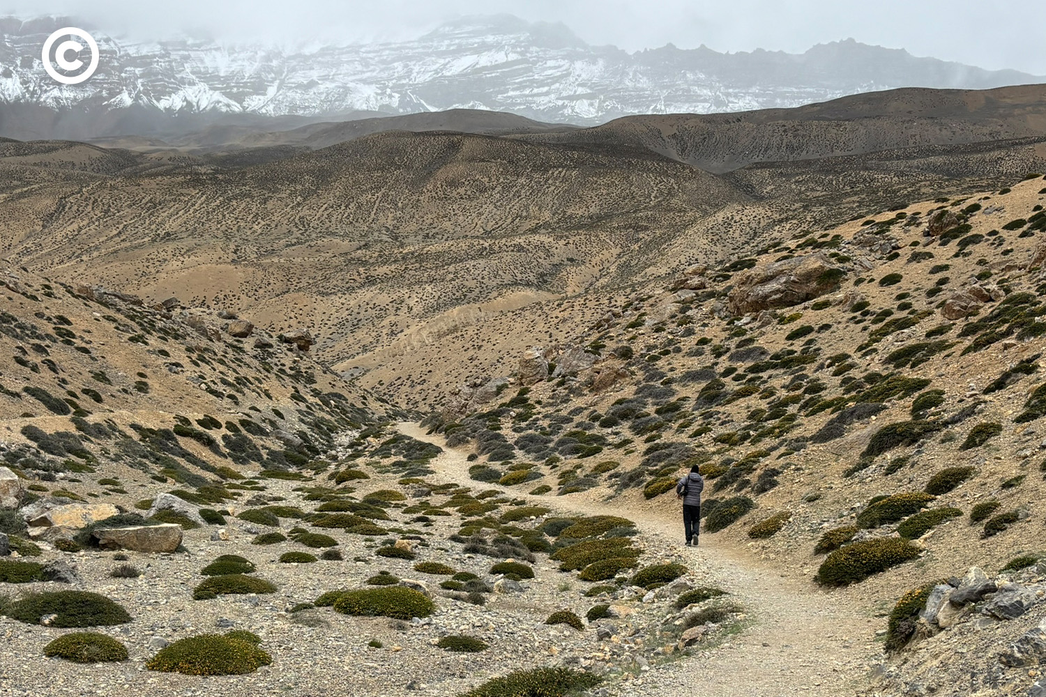 Spiti