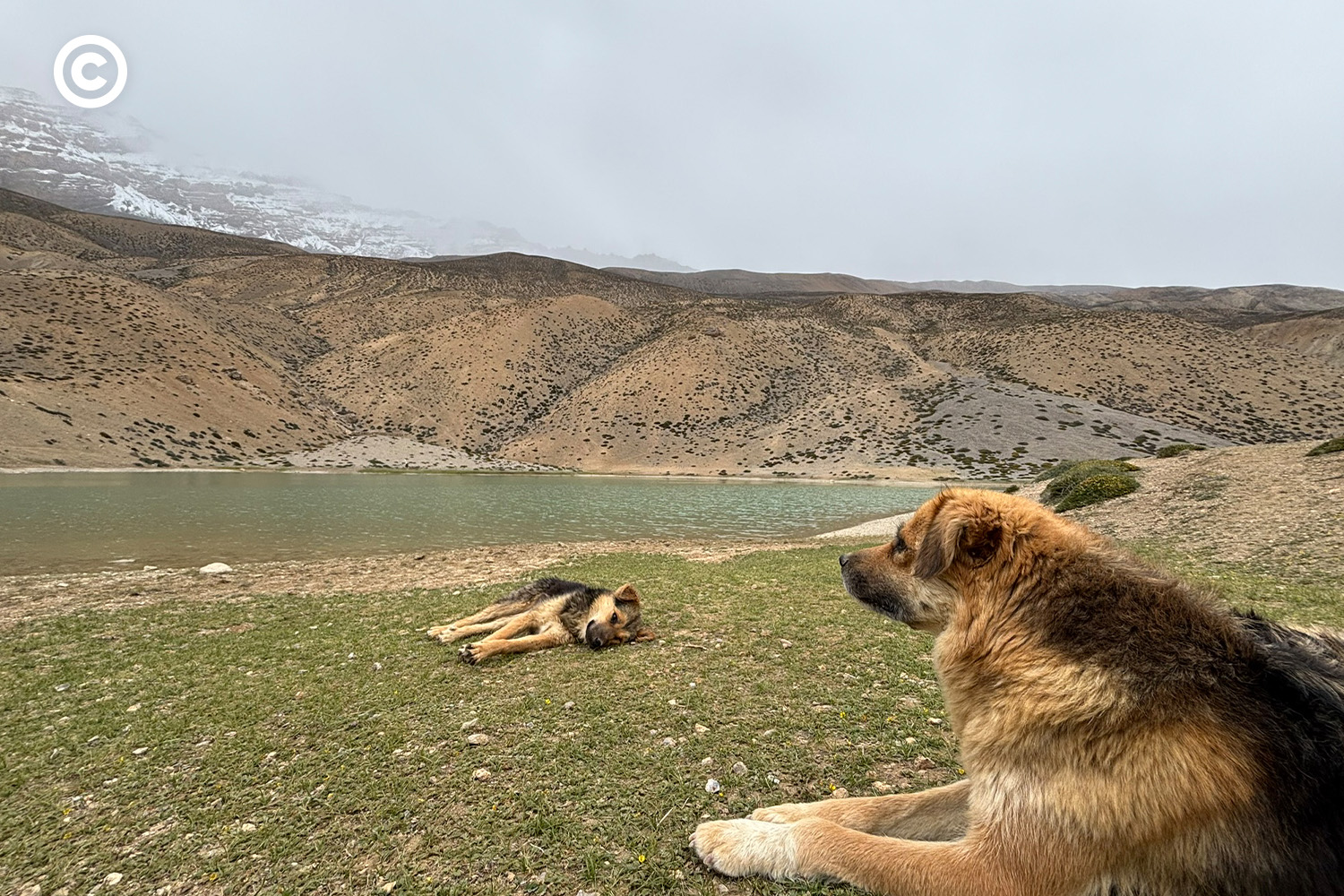 Spiti
