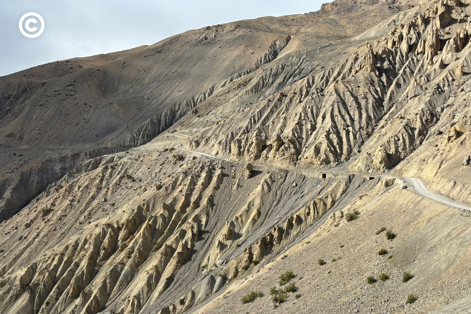 Spiti