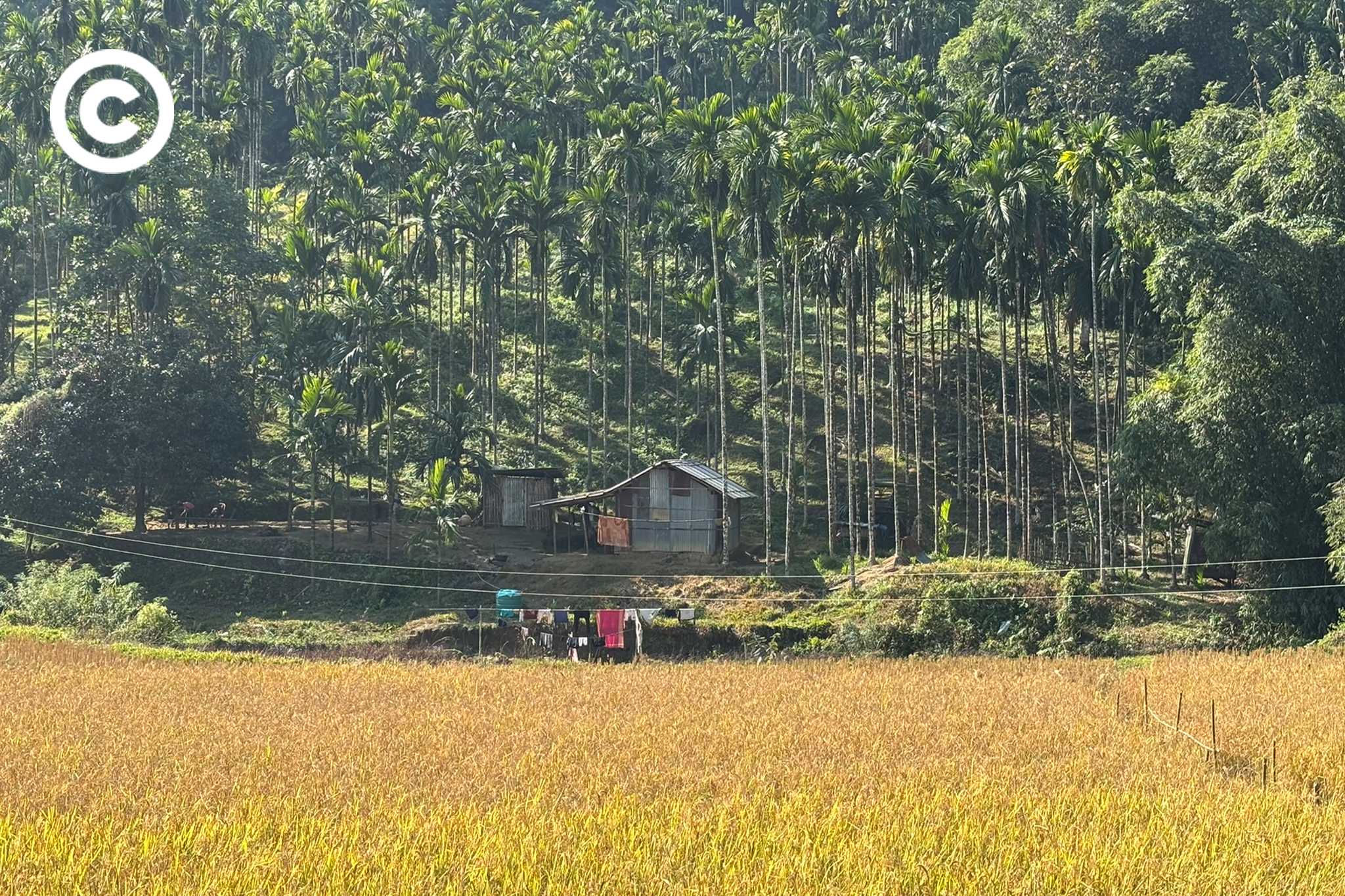 Garo Hills